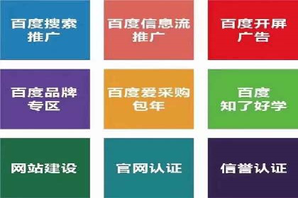 百度竞价策略解析：案例分析及优化建议